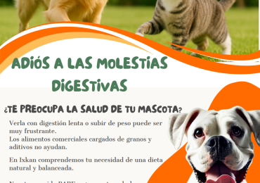 IXKAN Alimento Mascotas