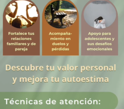 Psicoterapia